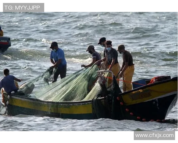 加沙新捕鱼法抗空袭：海中的抗争与生存之道